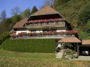Bild Haus Pleuler