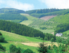 Hotel Landgasthof R�ppel

 Ort: Bestwig 
 ab 32 �