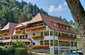 Gasthaus-Pension Sonne