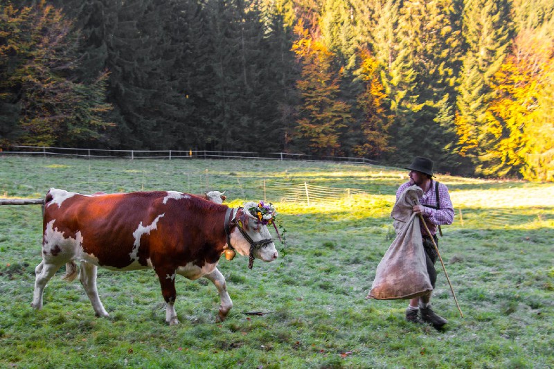 s´Dolle Frieders Burewirtschaft Sasbachwalden