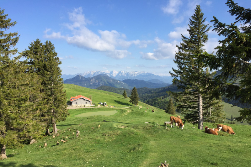 Huber Alm © Chiemsee-Alpenland Tourismus